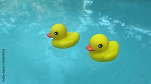Yellow rubber ducks swimming in a swimming pool