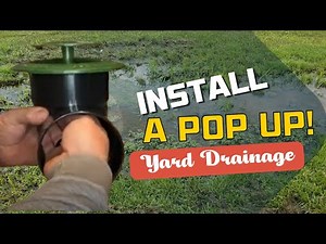 DIY Pop Up Yard Drain Installation (EASY)