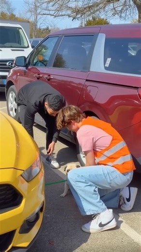 805K views · 10K reactions | Parking Lot Pup Rescue Would you step in to help? Generated using Kling AI . . . (For entertainment purposes only. Consult professionals if guidance on activities is presented. No brand affiliation is implied if any are shown. If inspired by true events, creative adaptations may be included. Content may include public footage.) | Fabiosa Daily | Facebook