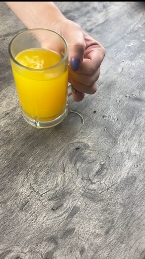 It dries out everything it has eaten for up to a year. #tea | Recipes Taught