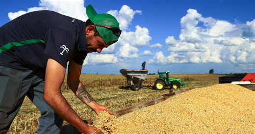 How the Iran war could shatter global food security