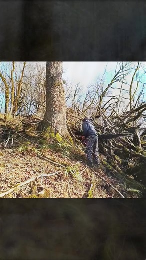 #camping #bushcraft #survival