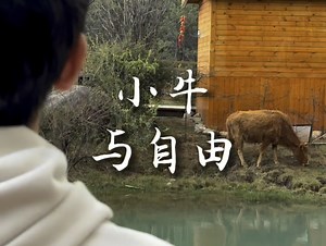 “我笑它甘为平凡俯首 它笑我忘却了停留”