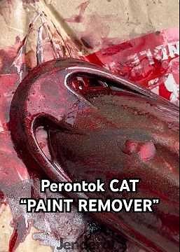 Paint remover specifically for PLASTIC / ABS. Easy to use.