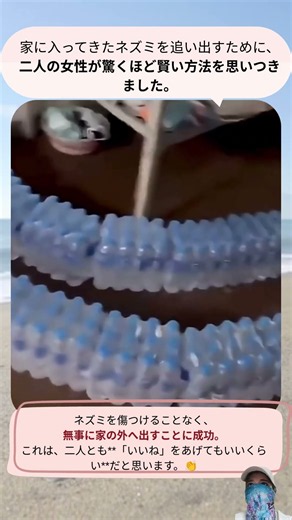 ネズミを傷つけずに追い出す方法