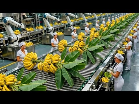 From Waste to Wealth: Amazing Banana Fiber Manufacturing Process! 🍌➡️👜