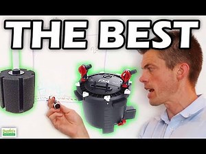 How To FILTER YOUR AQUARIUM: 3 Ways to Filter Your Fish Tank