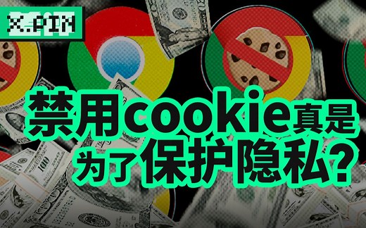 谷歌禁用第三方cookie，为了保护你的隐私，还是为了更好的垄断？【差评君】