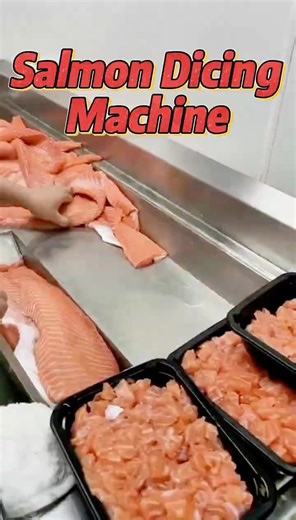 Salmon Meat Dicer #foodmachine #meatcutter #slicer #cuttingmachine #seafoodprocessing #seafood