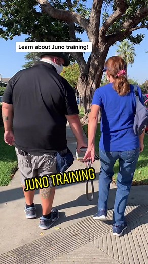 Guide Dogs of America on TikTok