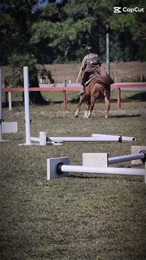 old vid.first time cantering a barrel