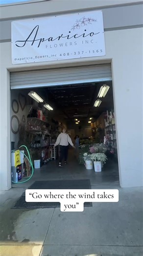 Go were the wind takes you |Aparicio Flowers Inc| No one was injured in the making of this video. #aparicioflowersinc