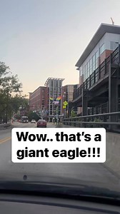 America the beautiful or America the colorful? | Pleasant Productions