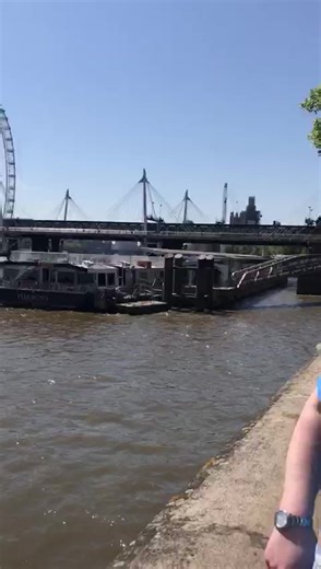 Humorous Thames Swim Experience