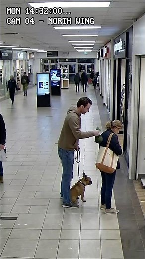 He put the dog poop WHERE!?