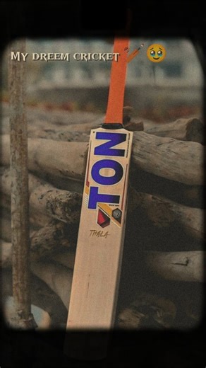 ‎MaaܔKA༒LADLA★࿐‎ on Instagram: "Cricket lover 🏆❤️🏏🏅🏆 . . . . cricketlover #cricketlove #cricketfan #cricket #cricketlovers #viral viralvideo reelitfeelit reelkarofeelkaro reelkrofeelkro instareel"