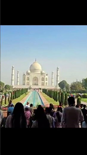 Funny Blog #funnyblogger #funnyshorts #shorts