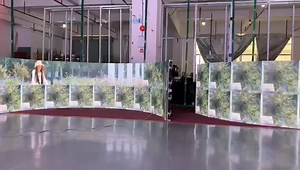 Concave and convex-curvable shape