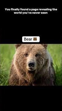 Animals with down syndrome #facts #curiosity #fyp #fypシ