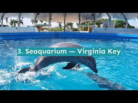 30 Fun Things to Do in Miami with Kids