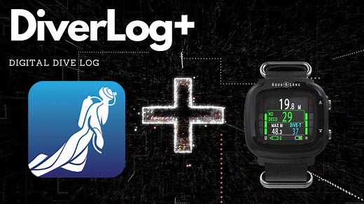 Step-by-step guide to DiverLog