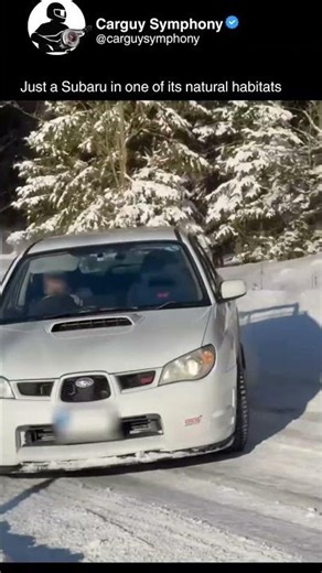Just a Subaru in its natural habitat #turbosounds. Credits to @nejakejjdmhawksti_1290sdr_rktm