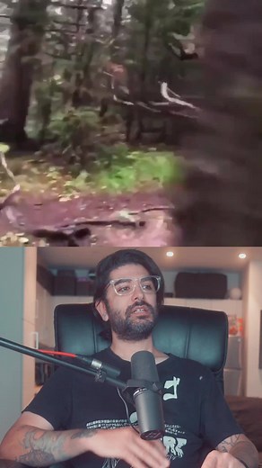 Moose Size Compared to Human - Majestic Scale Illustration