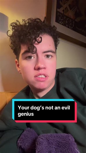 Free webinar in bio! #dogbehavior #dog #dogsoftiktok #dogtraining #reactivedog