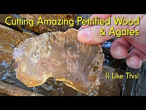 Cutting Amazing Petrified Wood & Agates #jasper #agate #petrifiedwood #lapidary #crystals #quartz
