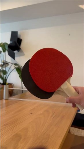 Freeplay Kids - Table Tennis ANYWHERE #toys