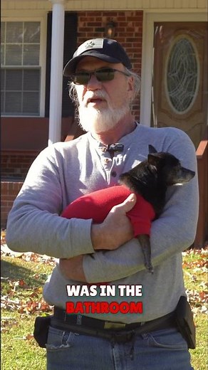 Metal Roofs vs Shingles: The ULTIMATE Roofing Comparison!