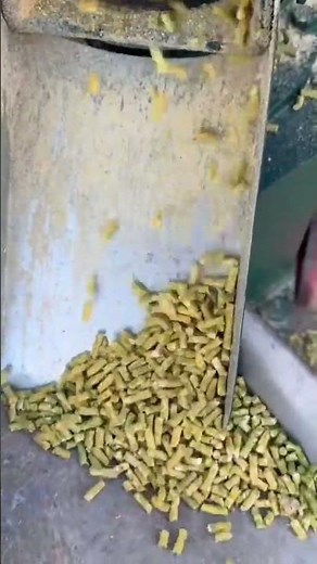 Corn Crushing and Shaping Transformation