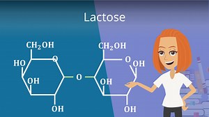 Lactose • Milchzucker einfach erklärt