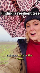 Testing Christmas tree resiliency