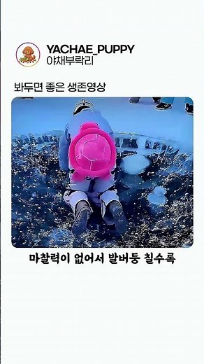 봐두면 유용한 얼음에서 살아나는 생존전략