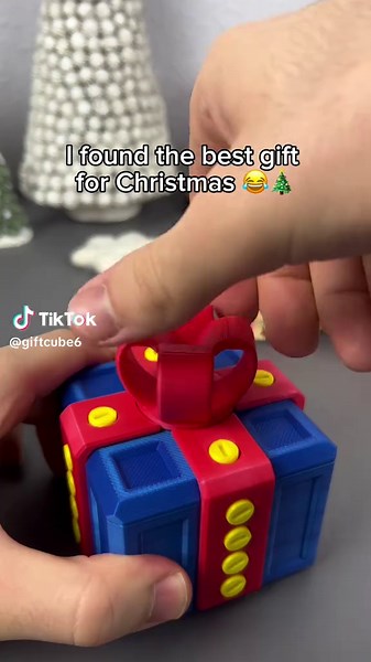 The Most Annoying Gift Box for Siblings