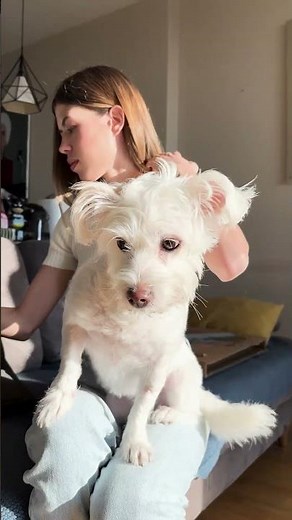 Custom Glass Prints | Turn Your Favorite Images into Stunning Wall Art #poster #glasswallart