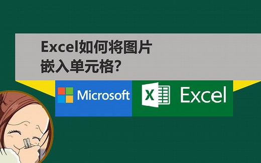 Excel插入图片后的三种不同属性，嵌入、改变大小或悬浮