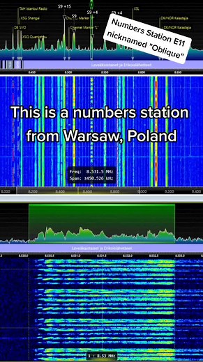 OH8EFI Joni on TikTok