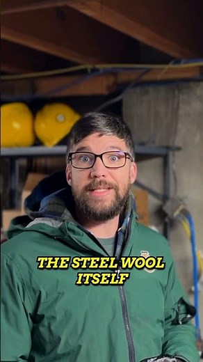 Does steel wool stop mice? 🐭 Let's break it down!