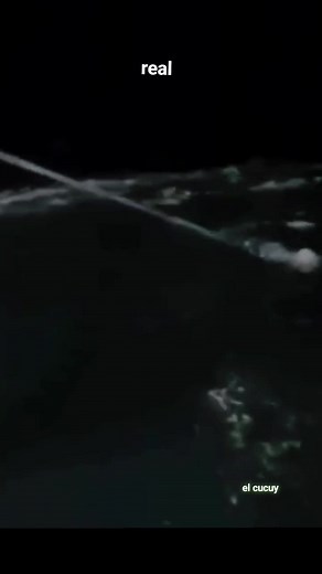 Real Mermaids and Sirens - Unveiling the Mystery of Deep Sea Creatures