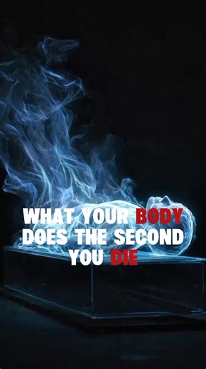 Understanding the Human Shutdown Sequence During Death