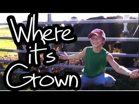 "Where it's Grown" - Lil Fred, "Cups" Parody - Anna Kendrick "When I'm Gone"