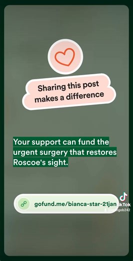 Senior citizen, Roscoe "Junior" Burrows, is in urgent need of eye surgery to repair his vision. This cause is important and whether you can donate or simply share the fundraiser, every little bit helps and is greatly appreciated. Here’s the link: https://gofund.me/8eeb2c5cf | THE LONG ISLAND RUNNER NEWS