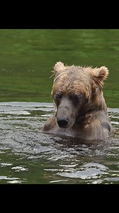 406K views · 5.9K reactions | Video by Daisy Gilardini Photography /...