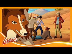 🐴 Dog Rescues a Wild Horse 🤠 The New Adventures of Lassie | Cartoon for Kids ‪@VIEWEDkids‬