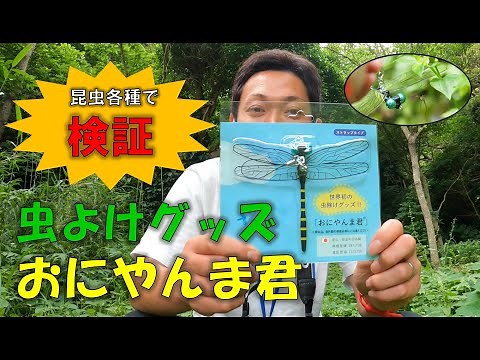 虫よけグッズ「おにやんま君」の効果を昆虫各種で検証してみた