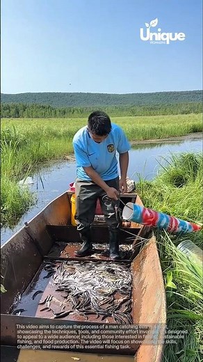 Fishing for beginners: a simple guide to eel fishing