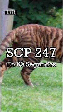 SCP 247 in 3 Minutes - "A Harmless Kitten"