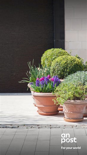 2.9K views · 3 comments | Never miss a delivery again with An Post! Set up a safe spot today so we can still deliver your parcels when you’re not around. Sign up here: https://www.anpost.com/Post-Parcels/Receiving/My-deliveries | An Post | Facebook